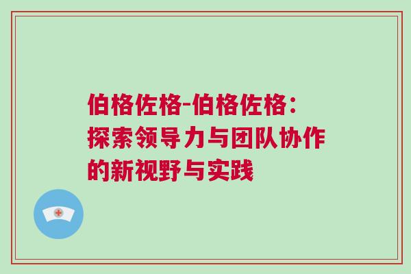 伯格佐格-伯格佐格：探索領導力與團隊協作的新視野與實踐