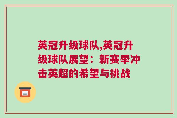 英冠升級球隊(duì),英冠升級球隊(duì)展望：新賽季沖擊英超的希望與挑戰(zhàn)
