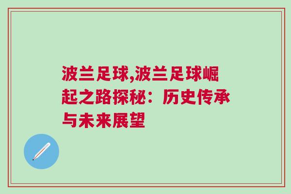 波蘭足球,波蘭足球崛起之路探秘：歷史傳承與未來展望