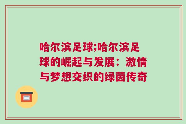 哈爾濱足球;哈爾濱足球的崛起與發展：激情與夢想交織的綠茵傳奇