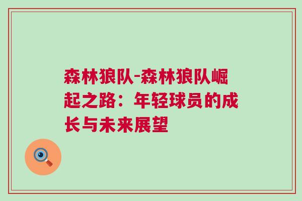 森林狼隊-森林狼隊崛起之路：年輕球員的成長與未來展望