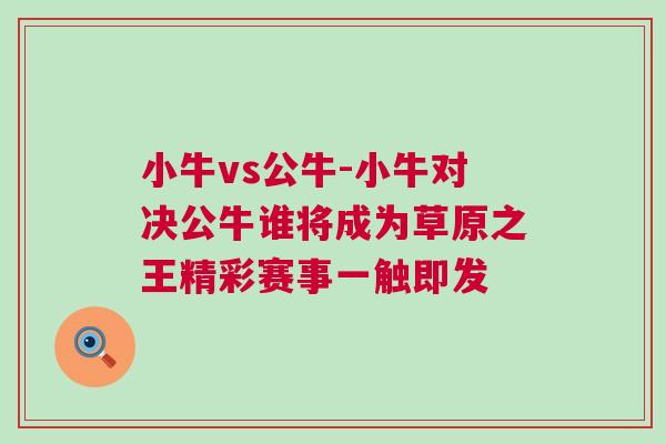 小牛vs公牛-小牛對決公牛誰將成為草原之王精彩賽事一觸即發