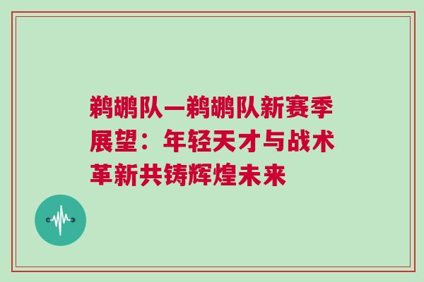 鵜鶘隊—鵜鶘隊新賽季展望：年輕天才與戰術革新共鑄輝煌未來