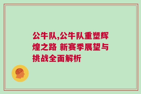公牛隊,公牛隊重塑輝煌之路 新賽季展望與挑戰(zhàn)全面解析