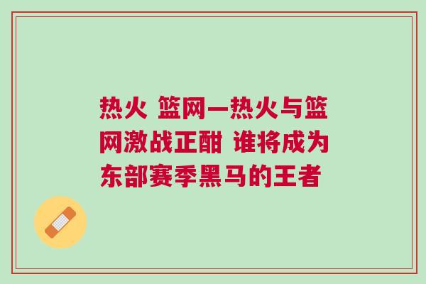 熱火 籃網(wǎng)—熱火與籃網(wǎng)激戰(zhàn)正酣 誰將成為東部賽季黑馬的王者