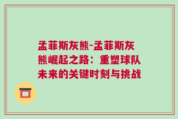 孟菲斯灰熊-孟菲斯灰熊崛起之路：重塑球隊(duì)未來的關(guān)鍵時(shí)刻與挑戰(zhàn)
