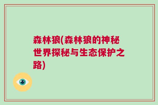 森林狼(森林狼的神秘世界探秘與生態保護之路)