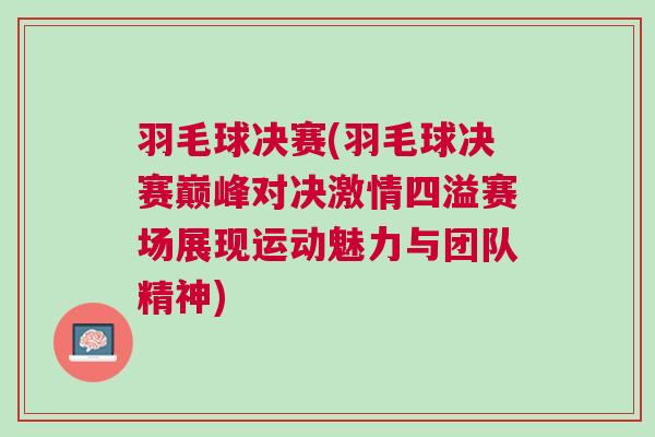 羽毛球決賽(羽毛球決賽巔峰對決激情四溢賽場展現運動魅力與團隊精神)