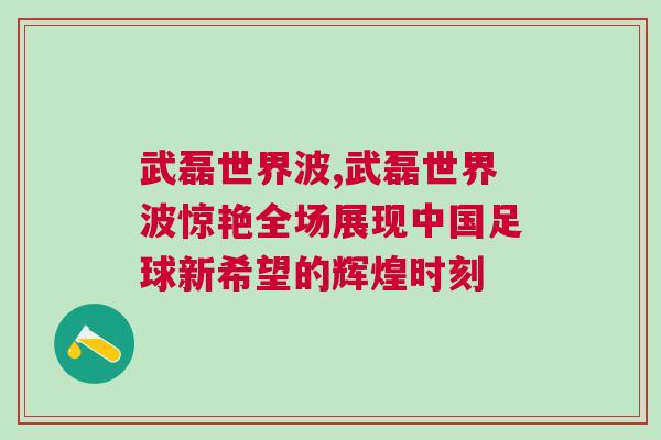 武磊世界波,武磊世界波驚艷全場展現(xiàn)中國足球新希望的輝煌時刻