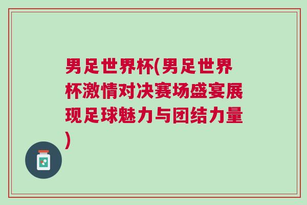 男足世界杯(男足世界杯激情對決賽場盛宴展現足球魅力與團結力量)