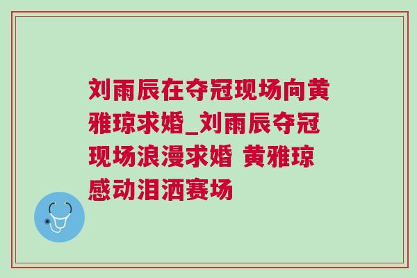 劉雨辰在奪冠現場向黃雅瓊求婚_劉雨辰奪冠現場浪漫求婚 黃雅瓊感動淚灑賽場